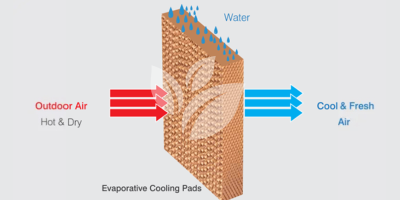 Cooling Pads (2)