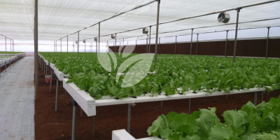 HINDUSTAN AGRI BUSINESS PVT.LTD PRODUCTS (10)