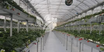 HINDUSTAN AGRI BUSINESS PVT.LTD PRODUCTS (13)