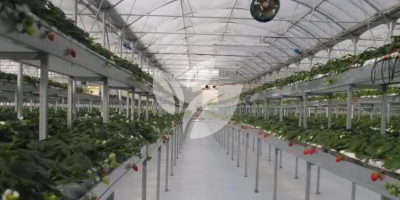 HINDUSTAN AGRI BUSINESS PVT.LTD PRODUCTS (2)