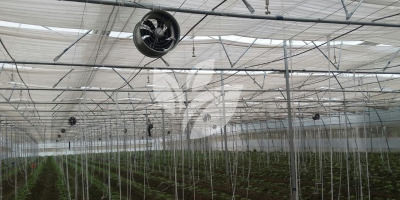 HINDUSTAN AGRI BUSINESS PVT.LTD PRODUCTS (3)